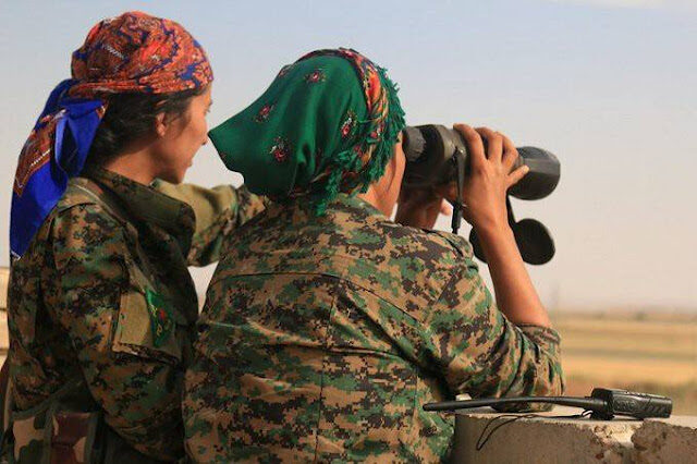 sdf-ypj-der-alzor12-1776158