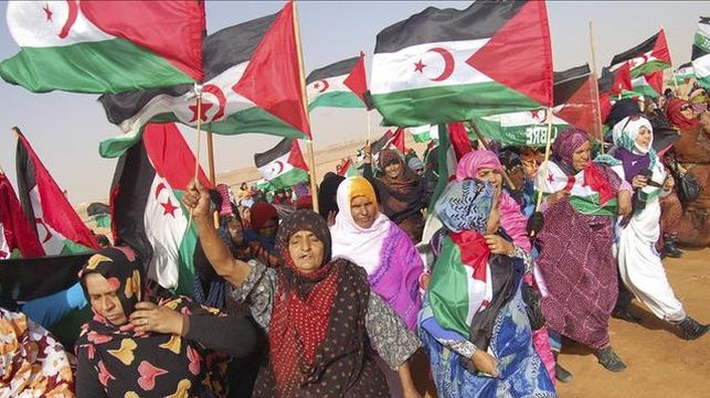العفو الدولية تدعو المغرب للتحقيق في "اعتداءات" على ناشطات صحراويات