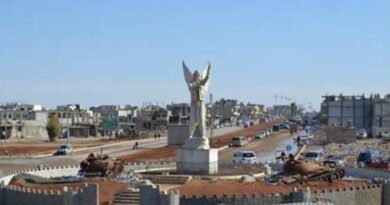 كوباني تمثال آرين ميركان