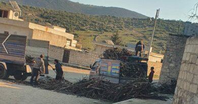 قطع أشجار الزيتون في قرى ناحية راجو من قبل قادة الحمزات