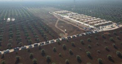 تركيا تقطع أشجار الزيتون لبناء مستوطنة جديدة في ريف عفرين