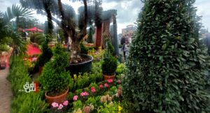 بالتزامن مع احتفالات النوروز.. افتتاح معرض الزهور في أربيل (صور)