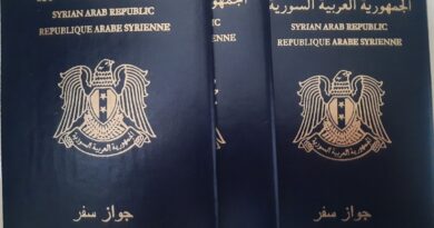 جواز سفر سوري