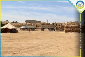 تخزين مئة ألف طن من بذار القمح للموسم الزراعي المقبل