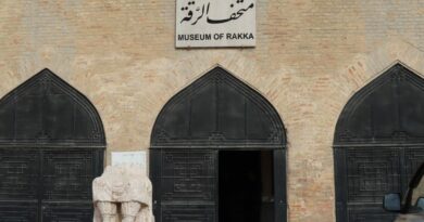 متحف الرقة (6)