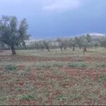dar-efrin (1)