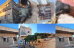 As-Suwayda: 20 bodies arrived at the National Hospital after being recovered from villages north and west of the governorate