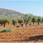 573344443_1141654368075374_2517046610307042682_n