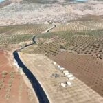 efrin-zeytun