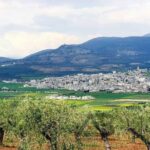 efrin-zeytun