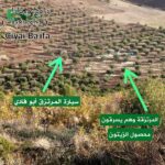 576756113_1148073357433475_6083846039748486540_n