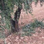 576834534_1147655334141944_3972280394918788488_n