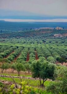 ماتزال فرض اتاوات مستمرة في قرى ناحية شيه بريف عفرين من قبل فصائل مدعومة من تركيا