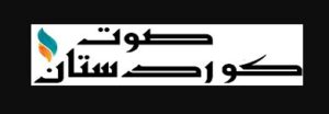 وجهة نظر.. إغلاق موقع صوت كردستان